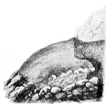 Sepultura de los antíguos Calchaquíes, descubierta al reparo
de una roca.—Esp. Methfessel.