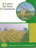 El cultivo del Arroz en Guatemala