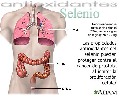 Selenio - antioxidante