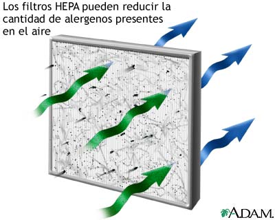 Filtro de aire HEPA