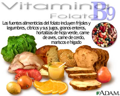 Fuentes de vitamina B9